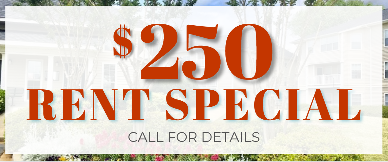$250.00 Rent Special Call for Details.